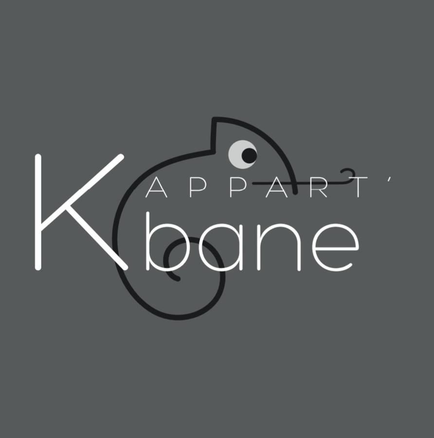 L'Appart K-Bane- Wifi Fibre- Checkin Auto- 2 Pers Le Mans Exterior foto
